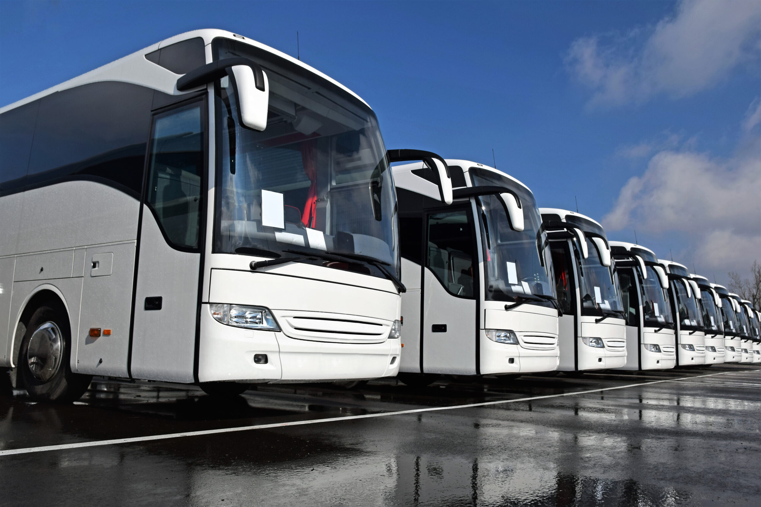 fleet of busses